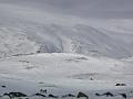 Norway 088